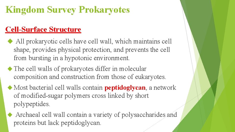 Kingdom Survey Prokaryotes Cell-Surface Structure All prokaryotic cells have cell wall, which maintains cell
