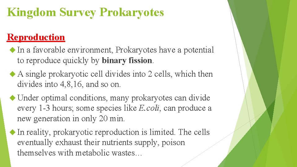 Kingdom Survey Prokaryotes Reproduction In a favorable environment, Prokaryotes have a potential to reproduce