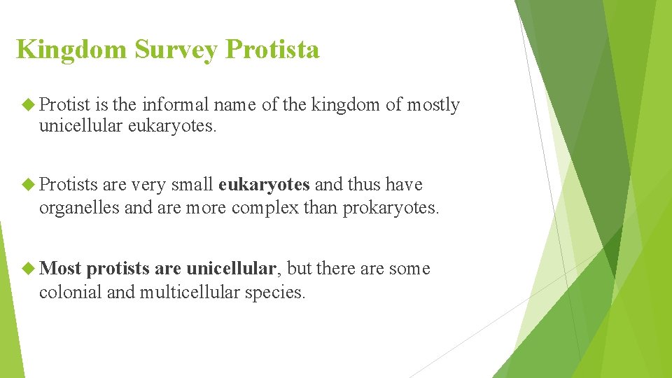 Kingdom Survey Protista Protist is the informal name of the kingdom of mostly unicellular