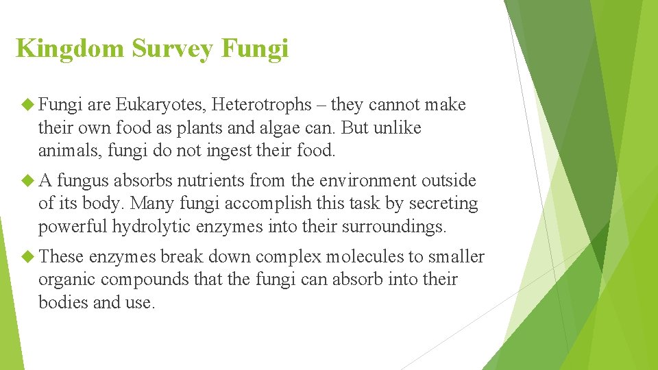 Kingdom Survey Fungi are Eukaryotes, Heterotrophs – they cannot make their own food as