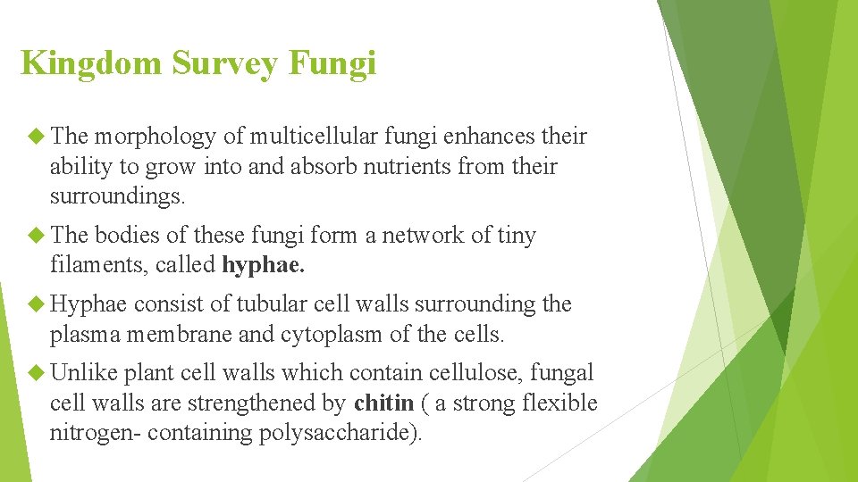 Kingdom Survey Fungi The morphology of multicellular fungi enhances their ability to grow into