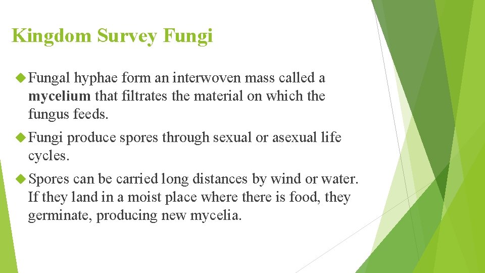 Kingdom Survey Fungi Fungal hyphae form an interwoven mass called a mycelium that filtrates