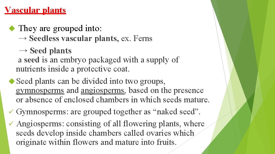Vascular plants They are grouped into: → Seedless vascular plants, ex. Ferns → Seed
