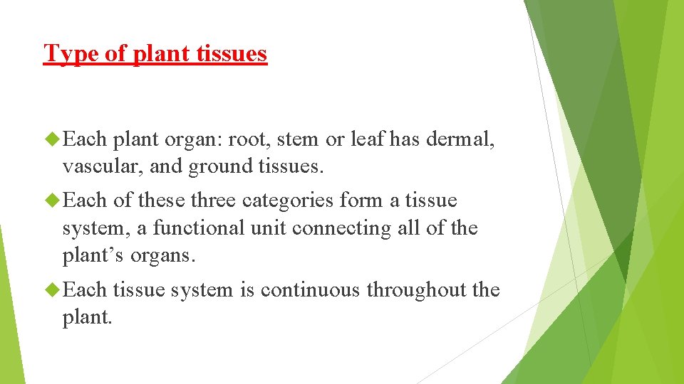 Type of plant tissues Each plant organ: root, stem or leaf has dermal, vascular,