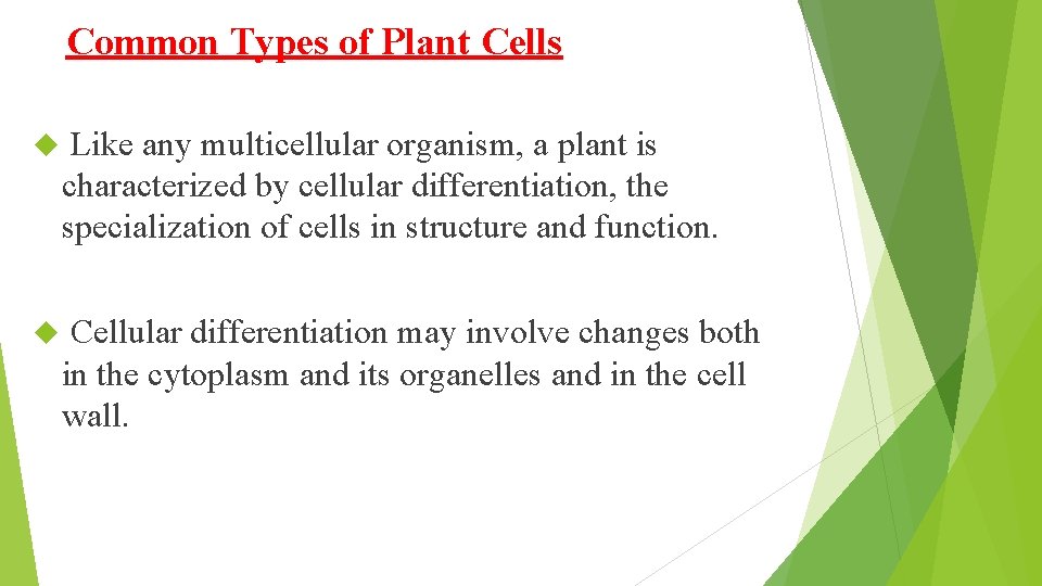 Common Types of Plant Cells Like any multicellular organism, a plant is characterized by