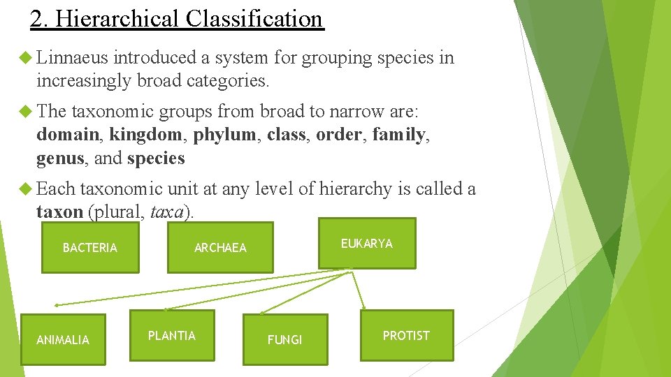 2. Hierarchical Classification Linnaeus introduced a system for grouping species in increasingly broad categories.