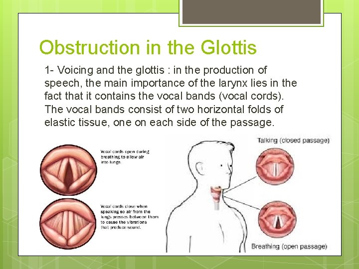 Obstruction in the Glottis 1 - Voicing and the glottis : in the production