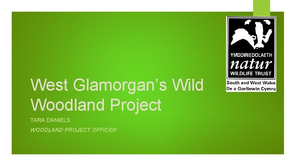 West Glamorgan’s Wild Woodland Project TARA DANIELS WOODLAND PROJECT OFFICER 