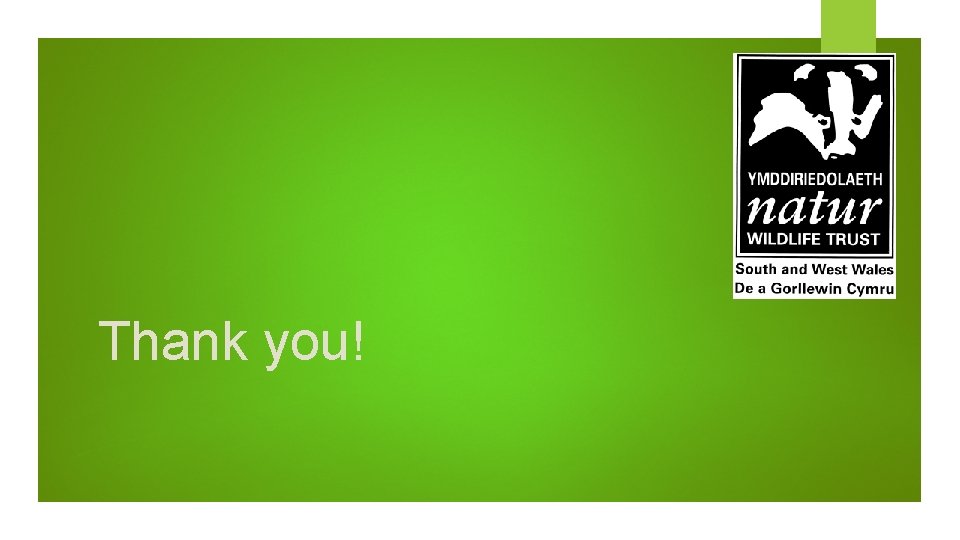 Thank you! 