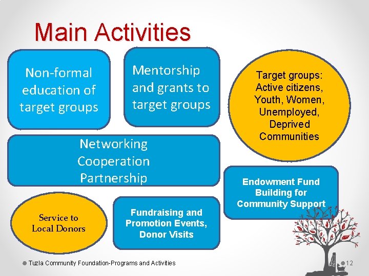 Main Activities Non-formal education of target groups Mentorship and grants to target groups Networking