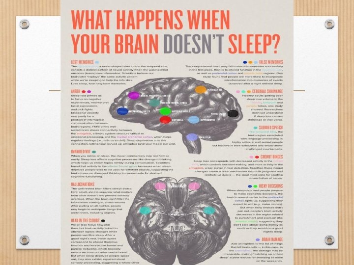 How Does Your Brain Experience limited sleep? 