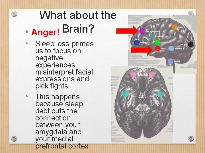 What about the • Anger! Brain? • Sleep loss primes us to focus on