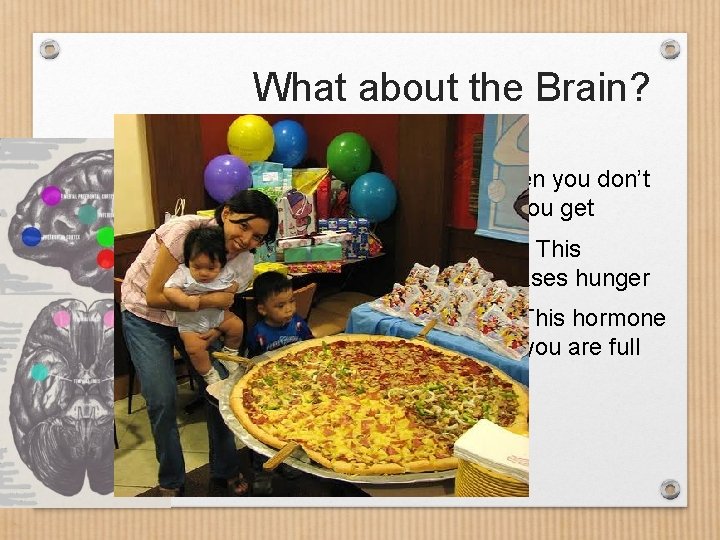 What about the Brain? • Donuts! Bacon! • In addition, when you don’t sleep