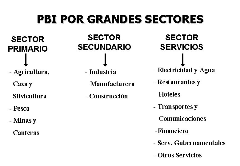 PBI POR GRANDES SECTOR PRIMARIO - Agricultura, Caza y Silvicultura - Pesca - Minas