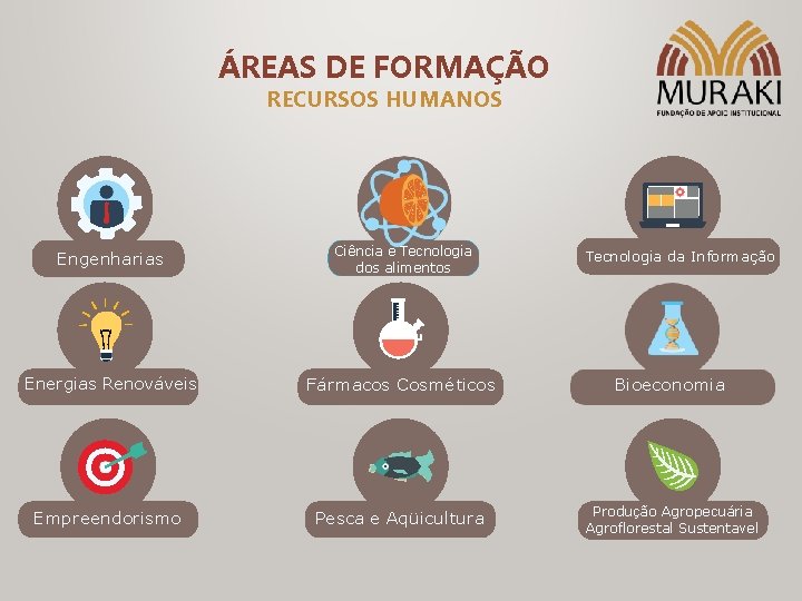 ÁREAS DE FORMAÇÃO RECURSOS HUMANOS Engenharias Ciência e Tecnologia dos alimentos Energias Renováveis Fármacos