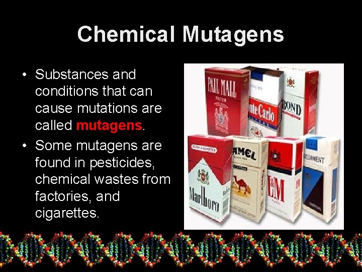 Chemical Mutagens • Substances and conditions that can cause mutations are called mutagens. •