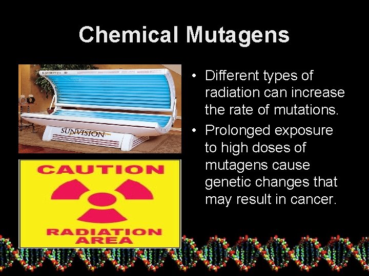 Chemical Mutagens • Different types of radiation can increase the rate of mutations. •