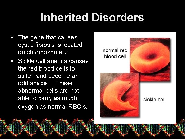 Inherited Disorders • The gene that causes cystic fibrosis is located on chromosome 7