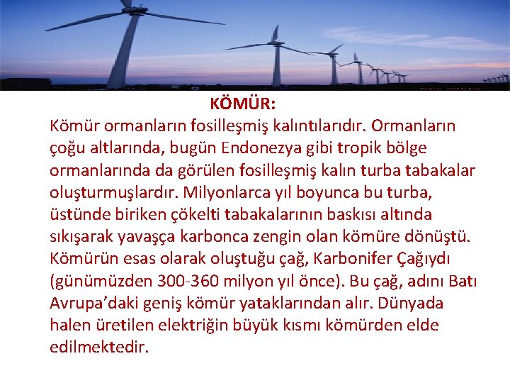 KÖMÜR: Kömür ormanların fosilleşmiş kalıntılarıdır. Ormanların çoğu altlarında, bugün Endonezya gibi tropik bölge ormanlarında