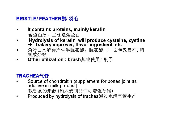 BRISTLE/ FEATHER鬃/ 羽毛 § § It contains proteins, mainly keratin 含蛋白质，主要是角蛋白 Hydrolysis of keratin