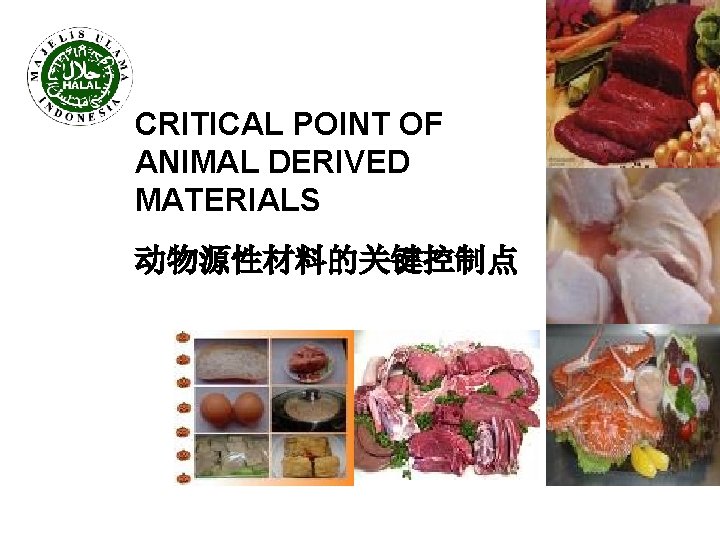 CRITICAL POINT OF ANIMAL DERIVED MATERIALS 动物源性材料的关键控制点 LP POM MUI 