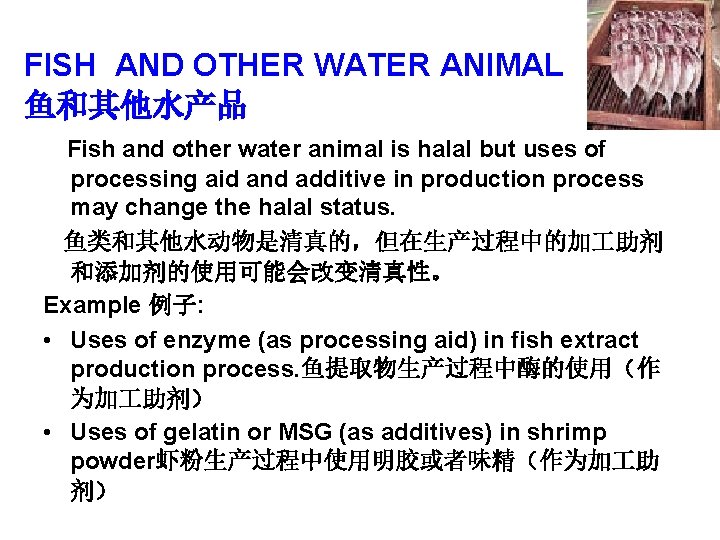 FISH AND OTHER WATER ANIMAL 鱼和其他水产品 Fish and other water animal is halal but