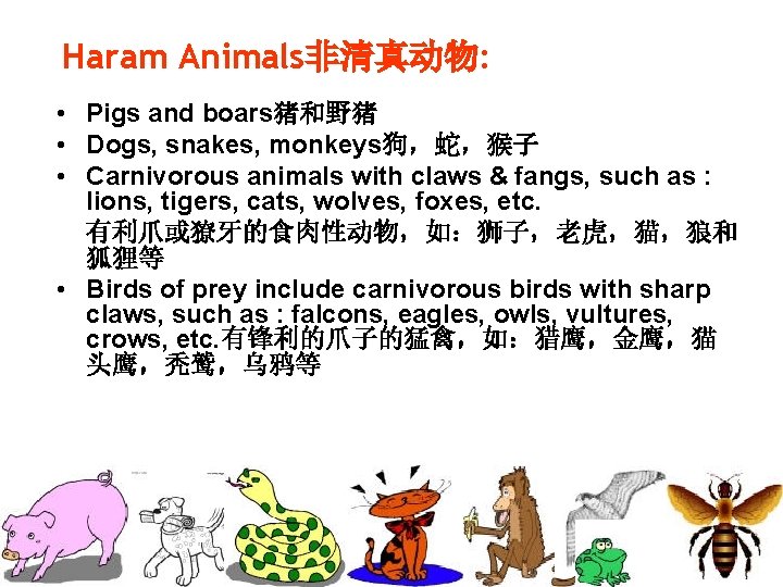 Haram Animals非清真动物: • Pigs and boars猪和野猪 • Dogs, snakes, monkeys狗，蛇，猴子 • Carnivorous animals with