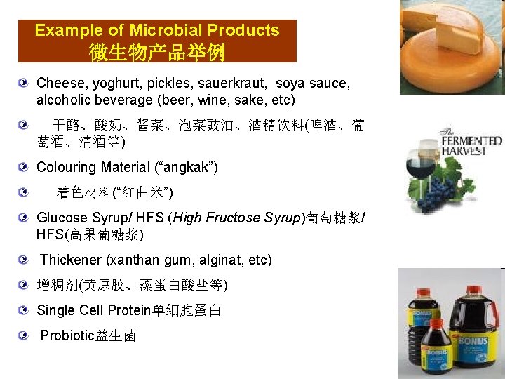 Example of Microbial Products 微生物产品举例 Cheese, yoghurt, pickles, sauerkraut, soya sauce, alcoholic beverage (beer,