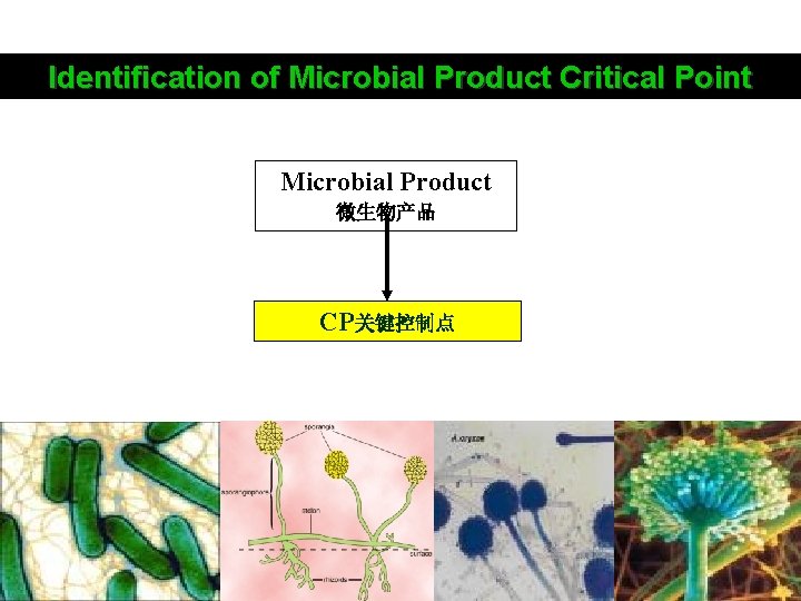 Identification of Microbial Product Critical Point Microbial Product 微生物产品 CP关键控制点 