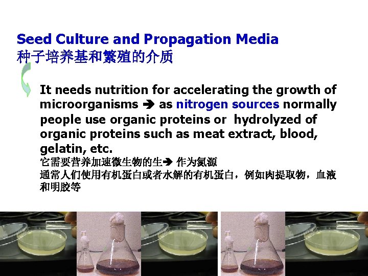 Seed Culture and Propagation Media 种子培养基和繁殖的介质 It needs nutrition for accelerating the growth of