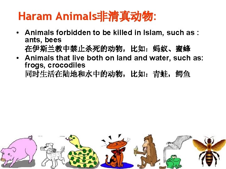 Haram Animals非清真动物: • Animals forbidden to be killed in Islam, such as : ants,