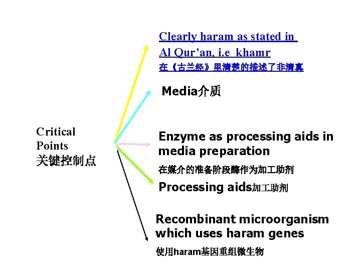 Clearly haram as stated in Al Qur’an, i. e khamr 在《古兰经》里清楚的描述了非清真 Media介质 Critical Points