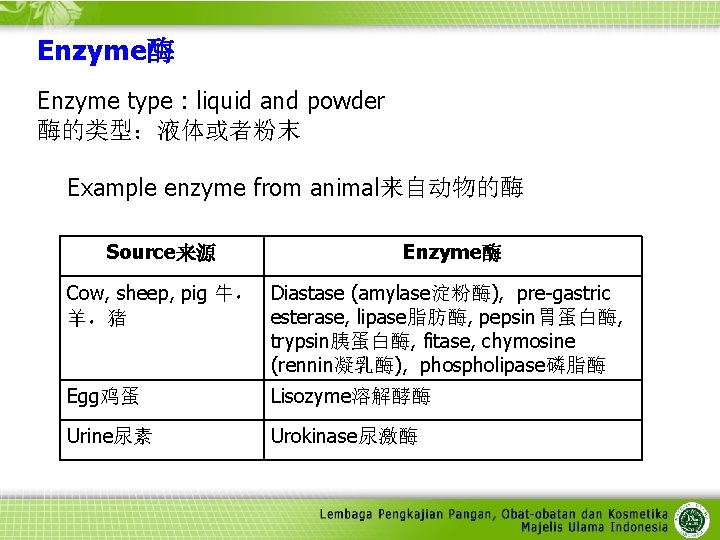 Enzyme酶 Enzyme type : liquid and powder 酶的类型：液体或者粉末 Example enzyme from animal来自动物的酶 Source来源 Enzyme酶