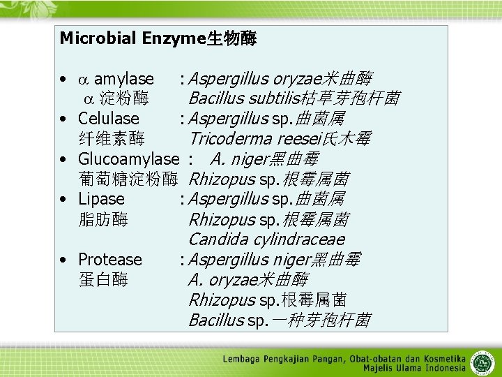 Microbial Enzyme生物酶 • amylase : Aspergillus oryzae米曲酶 淀粉酶 Bacillus subtilis枯草芽孢杆菌 • Celulase : Aspergillus