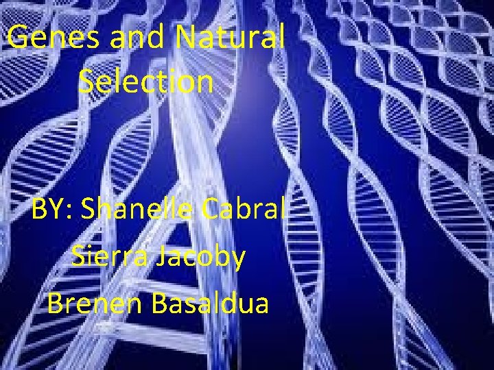 Genes and Natural Selection BY: Shanelle Cabral Sierra Jacoby Brenen Basaldua 