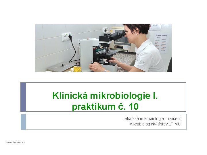 Klinická mikrobiologie I. praktikum č. 10 Lékařská mikrobiologie – cvičení Mikrobiologický ústav LF MU