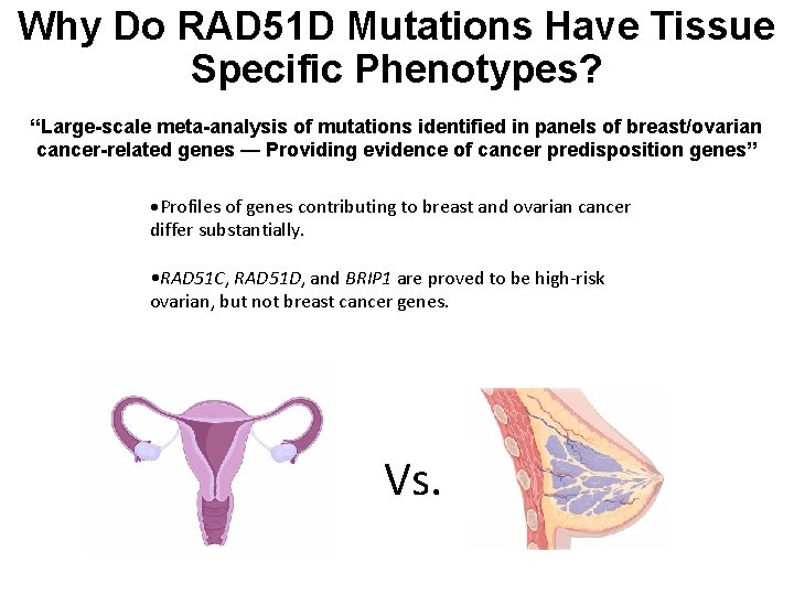 Why Do RAD 51 D Mutations Have Tissue Specific Phenotypes? “Large-scale meta-analysis of mutations