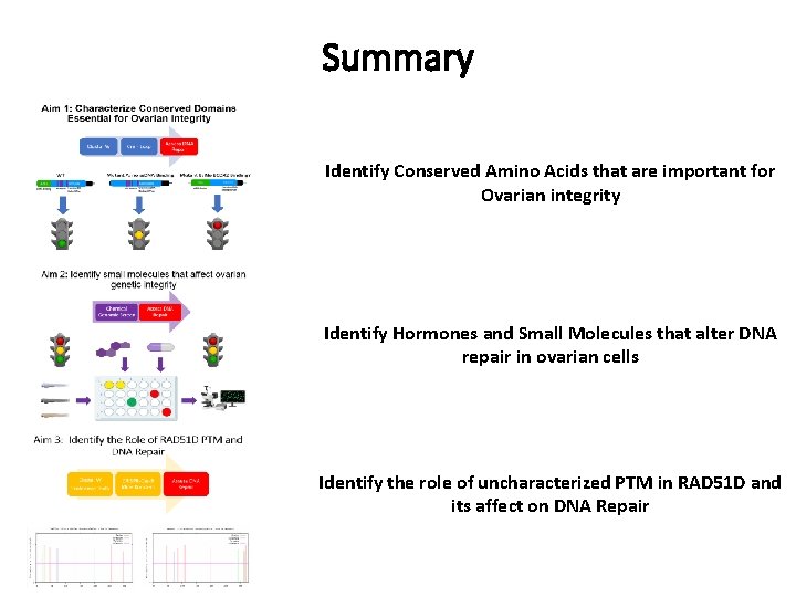 Summary Identify Conserved Amino Acids that are important for Ovarian integrity Identify Hormones and