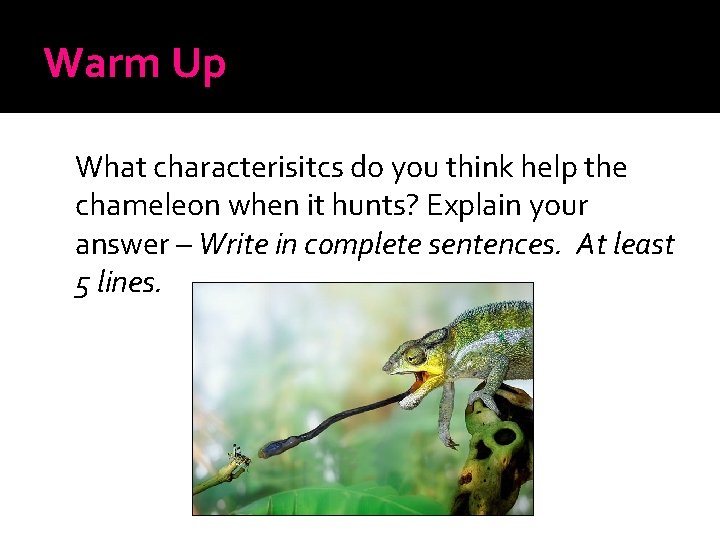 Warm Up What characterisitcs do you think help the chameleon when it hunts? Explain