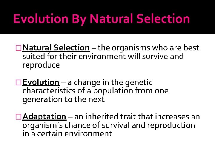 Evolution By Natural Selection �Natural Selection – the organisms who are best suited for