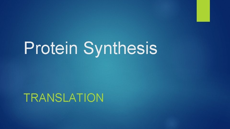 Protein Synthesis TRANSLATION 