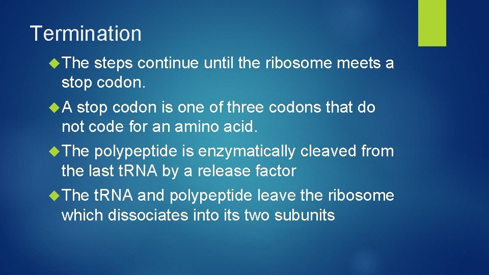 Termination The steps continue until the ribosome meets a stop codon. A stop codon