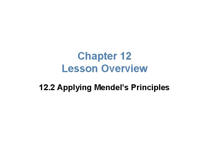 Chapter 12 Lesson Overview 12. 2 Applying Mendel’s Principles 