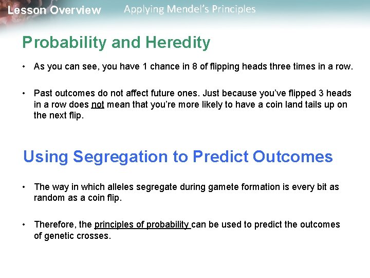 Lesson Overview Applying Mendel’s Principles Probability and Heredity • As you can see, you