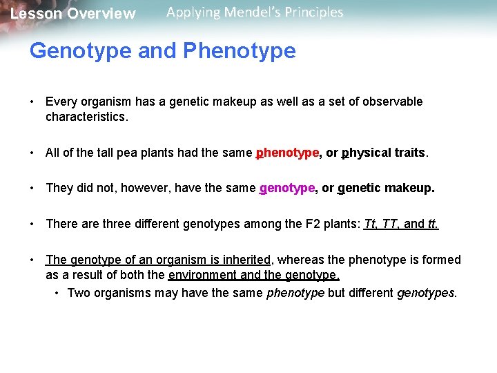 Lesson Overview Applying Mendel’s Principles Genotype and Phenotype • Every organism has a genetic