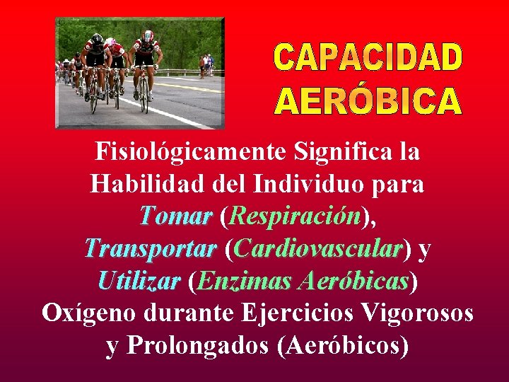 Fisiológicamente Significa la Habilidad del Individuo para Tomar (Respiración), Transportar (Cardiovascular) Cardiovascular y Utilizar