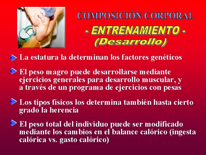 La estatura la determinan los factores genéticos El peso magro puede desarrollarse mediante ejercicios