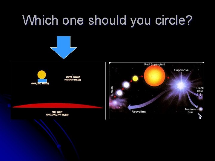 Which one should you circle? 