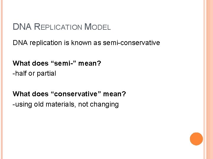DNA REPLICATION MODEL DNA replication is known as semi-conservative What does “semi-” mean? -half DNA REPLICATION MODEL DNA replication is known as semi-conservative What does “semi-” mean? -half