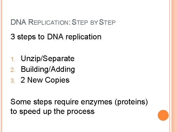 DNA REPLICATION: STEP BY STEP 3 steps to DNA replication 1. 2. 3. Unzip/Separate DNA REPLICATION: STEP BY STEP 3 steps to DNA replication 1. 2. 3. Unzip/Separate